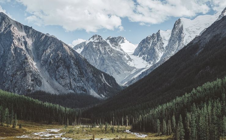 移民土耳其哪个中介好